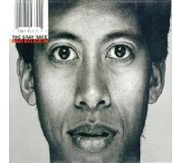 Bad Religion - Gray Race
