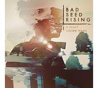 Bad Seed Rising - A Place Called Home