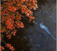 Bad Tidings from Slackwater Drag