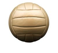 Baden | Série Trophy | Cuir synthétique | Mini Trophy Volleyball | Taille 2 | Trophy Gold