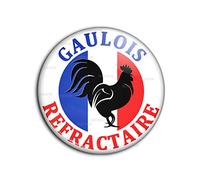 Badge 38mm Bouton Epinglette Gaulois Réfractaire Coq Drapeau France Français - Bleu Blanc Rouge Contestation Soutien Gilets