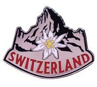 Badge à épinglette en émail Motif Edelweiss Alpes suisses Suisse 3 cm de large