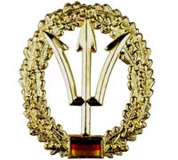 Badge de béret original de l'armée allemande BW Béret en métal (Commandement des forces spéciales Marine)