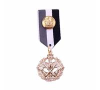 Badge en tissu rayé pour médaille unique bijoux corsage pour manteau, chemise, femme et homme, style D, Style E, Plastique, comme description