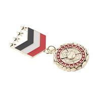 Badge en tissu rayé pour médaille unique bijoux corsage pour manteau, chemise, femme et homme, style D, Style 22, Plastique, comme description