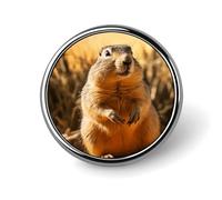 Badge rond marmotte dessiné à la main en émail mignon broche bouton broche bouton décoration vêtements unisexe porte-badge chapeaux sacs chemises décoration