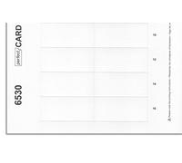 badgepoint porte-nom Impression Arche pour Polar 30 (10, 65 x 30 mm, aimant pour 180 Cartes Nom)