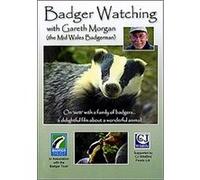 Badger Watching With Gareth Morgan G