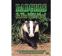 Badgers In The Wood G