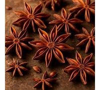 Badiane - Anis Étoilé Le Monopati 15g | Qualité Premium | 100% Naturel | Idéal Infusions, Cuisine, Pâtisserie