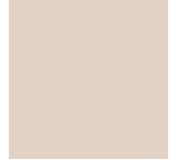 Badigeon à la chaux décoration intérieure extérieur maison BADIPLUS CALVI Beige rosé kit de 2,5 kg : jusqu'à 12.5 m²