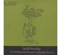 Badly Drawn Boy - It Came From The Ground - Andy Votel Remix