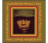 Badu, Erykah - Mama's Gun