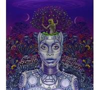 Erykah Badu New Amerykah Part Two: Return of the Ankh (Vinyl)