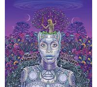 New Amerykah Part II – Return of the Ankh