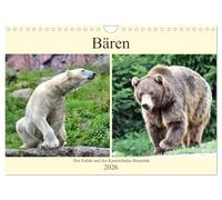 Bären - Der Eisbär und der Kamtschatka-Braunbär (Wandkalender 2026 DIN A4 quer), CALVENDO Monatskalender: Bären aus zwei Kontinenten