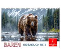 Bären - gefährlich nett (Tischkalender 2026 DIN A5 quer), CALVENDO Monatskalender: Das größte Landraubtier Europas in seiner Lebenswelt