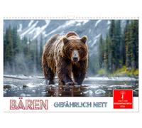 Bären - gefährlich nett (Wandkalender 2026 DIN A3 quer), CALVENDO Monatskalender: Das größte Landraubtier Europas in seiner Lebenswelt
