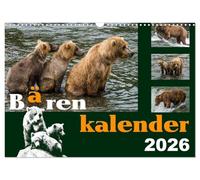 Bärenkalender (Wandkalender 2026 DIN A3 quer), CALVENDO Monatskalender: Braunbären - 36 faszinierende Fotos in einem Kalender