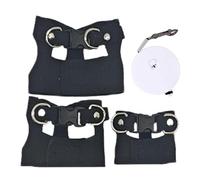 Bärter - Câble de dragon et kit de corde de traction - Sangle de reptile et laisse - Sangle de traction pour lézard - Confortable pour les sangles de reptiles et d'amphibiens pour geckos crestés