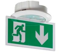 Legrand BAES d'ambiance LED 400 lm connecté SATI IP43 IK07