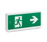 BAES d'évacuation SCHNEIDER OVA59111 SATI IP65 Exiway