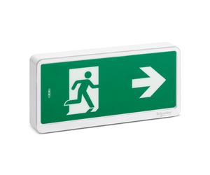 BAES d'évacuation SCHNEIDER OVA59111 SATI IP65 Exiway