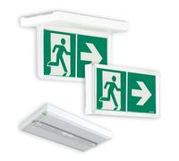 BAES évacuation SATI - 45lm/1h - IP43 IK07 - Pose mur/plafond - Visibilité+ - LUMINOX - 16143