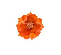 Baesics Barrettes à cheveux pour femme pivoine orange, 2 en 1, pince à cheveux et épinglette, broche en forme de fleur en acétate de cellulose, bijoux design 3D pour robes et coiffures, marbrée unique