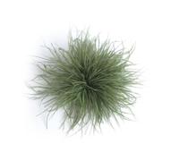 Baesics Broche à plume - Épingle à cheveux Fluffy pour femmes avec plume d'autruche - Accessoire de chapeau vintage - Épingle à cheveux pour mariage, fête, carnaval - Fascinateur pour blazer, robe