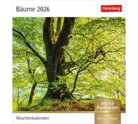 Bäume Postkartenkalender 2026 - Wochenkalender mit 53 Postkarten: Fotokalender mit 53 Postkarten zum Sammeln und Verschicken. Dekorative ... Fotografen. Wochen-Tischkalender 2026