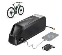 BAFANG Batterie de vélo électrique 48 V 20 Ah avec chargeur et port USB G80 Batterie au lithium pour vélo électrique 250 W 500 W 750 W 1000 W 1500 W Kit de conversion de vélo électrique