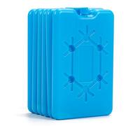 Bafiwu Pain De Glace pour Sac Isotherme,6 Pièces Ice Pack pour Sac à Lunch, Pack Réfrigérant Ultra-Fin De 200 ML, pour Camping,Pique-Nique, 10 x 16 x 1.5 cm