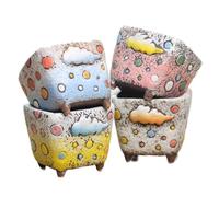 Bafnsiji 4pack Pot de Plante succulente en céramique, Mini Pots Succulents, Pots de Plantes en céramique intérieur avec Drainage, Nuages Mignons Bonsai Pots, Petit Pot de Fleurs de Cactus