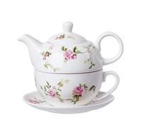 Bafnsiji Ensemble de Tasse à thé et Soucoupe, thé de Chine Floral pour Un Ensemble, théière de 480 ML et Tasse de 350 ML avec Soucoupe, Tasse de théière en Porcelaine et Ensemble de Soucoupe,B