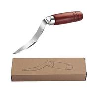 Bafnsiji Outil de Noix de Coco, dissolvant de Viande de Noix de Coco, Couteau de Retrait de Viande de Noix de Coco en Acier Inoxydable, Outil portatif de Noix de Coco en Acier Inoxydable