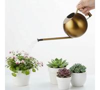 BAFOVY Arrosoir, 1000 ML en Acier Inoxydable pour Plantes D'intérieur avec Bec Long et Tête Amovible, pour Plantes en Pot de Fleurs de Jardin Domestique (Or Antique)