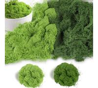 Bafumiu 100g Mousse Artificielle pour Décoration - Vert Foncé 50g + Vert Clair 50g, Fausse Mousse Décorative pour Bricolage, Idéale pour Décorations Murales, Crèches, Aquariums et Modélisme.