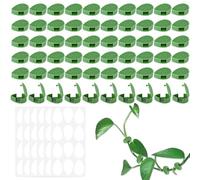 Bafumiu Pack de 60 Support Plante Grimpantes, Support Autocollant pour Plantes, Attache Cable Mural, Accessoires pour Plantes, Fabriqué en Matériau Durable, Idéal pour Petites Plantes