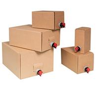 Bag-in-Box Lot de boîtes en carton et sac 1,5 l, 3 l, 5 l, 10 l et 20 l (40, 5 l)