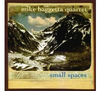 Baggetta,Mike Quartet - Small Spaces [Import]