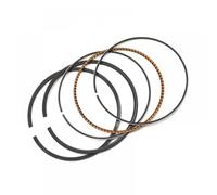 BAGNES PISTON MOTEUR DE MOTEUR DE MOTORICATION 49 mm compatibles avec ZR250 Balius 250 Modèles 1989-1996 Convient à divers vélos 250cc(1 set Rings)
