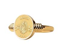 Bague Amor Fati en argent sterling 925 | Bague plaquée or | Chevalière ovale 13 x 11 mm | Taille de l'anneau : 5-12,5 US | LKDR_0337