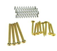 Bague de micro Humbucker à filetage métrique - Vis de hauteur - Cadre de montage - Vis de montage - Ressorts pour micros Epiphone SG Import - Doré