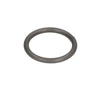 Bague d'étanchéité BOSCH 2 434 601 031