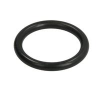 Bague d'étanchéité CARRARO 28118-CR