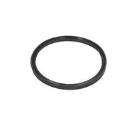 Bague d'étanchéité, gaine de suralimentation THERMOTEC DCB086TT
