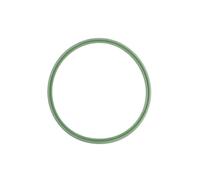 Bague d'étanchéité, gaine de suralimentation THERMOTEC DCB105TT