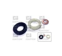 Bague d'étanchéité, porte-injecteur QUINTON HAZELL XPSI159K