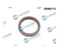 Bague d'étanchéité, vilebrequin Dr.Motor DRM0713